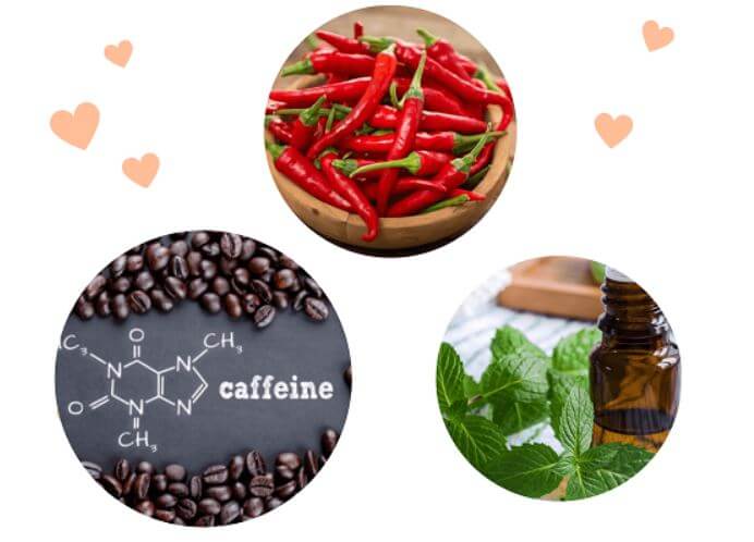 Hoạt chất caffeine, tinh dầu bạc và ớt giúp đánh tan mỡ thừa hiệu quả